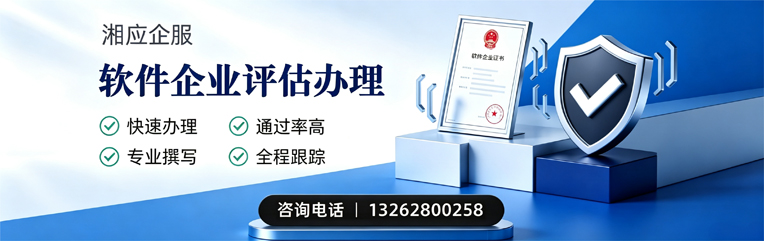 六安软件企业评估申报服务