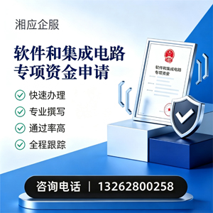 六安软件和集成电路专项资金申报服务