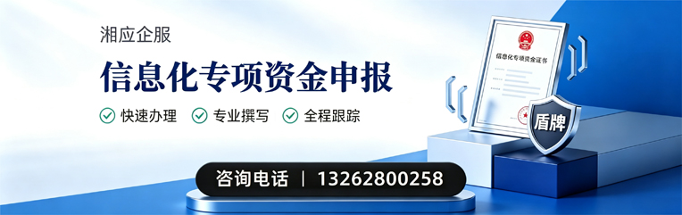 六安信息化专项资金申报服务
