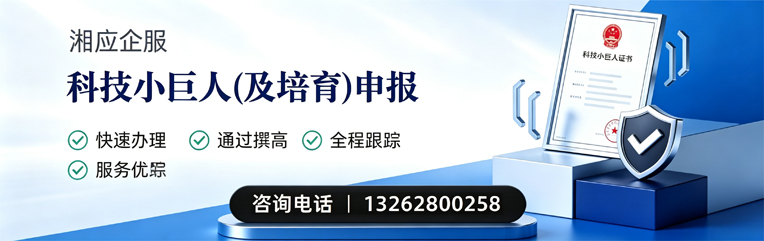 六安科技小巨人及培育企业申报服务