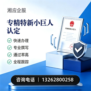 六安专精特新小巨人申报服务