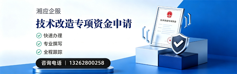 六安技术改造专项资金申报服务