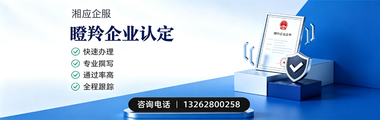 六安瞪羚企业认定申报服务