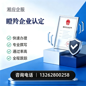六安瞪羚企业认定申报服务
