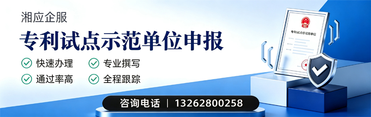 六安专利试点示范单位申报服务