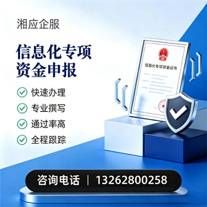六安信息化专项资金申报服务