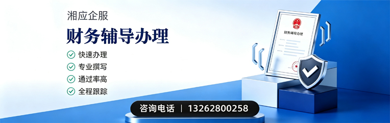 六安财务辅导申请服务