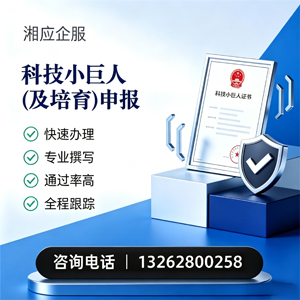 六安科技小巨人及培育企业申报服务