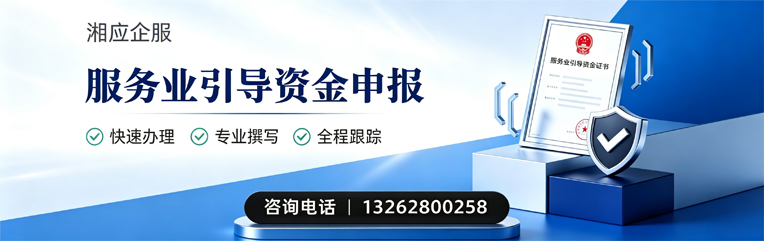六安服务业引导资金申报服务