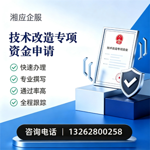 六安技术改造专项资金申报服务