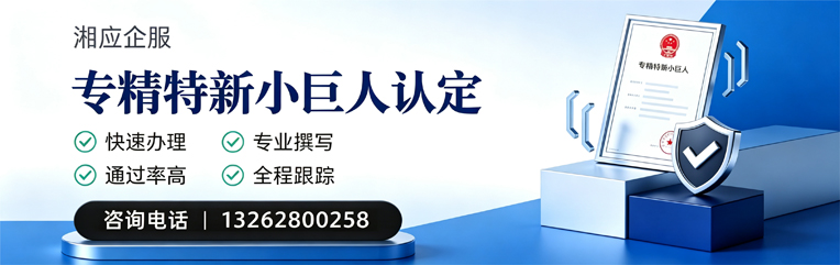 六安专精特新小巨人申报服务